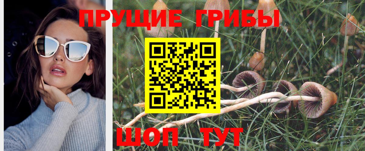 Липецк  Галлюциногенные грибы мухоморы  Вход с VPN 
